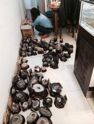 Bát Tụ Bảo ( Bát Tài Lộc) :  T/d : Chiêu tài, phát lộc gia tăng cát khí. - tụ sinh khí tốt cho sức khoẻ. Đặt bát tụ bảo trên bàn làm việc, bàn học giúp đầu óc tỉnh táo, sáng suốt. Đặt trong phòng khách, phòng ngủ để tích tụ năng lượng gia tăng cát khí. Đặt tại nơi bán hàng để chiêu tài phát lộc.