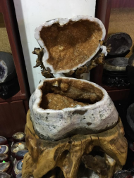 Đá Thạch Anh Vàng ( Citrine) : tượng trưng cho tài lộc phú quý. Hợp mệnh Thổ & Kim. Công thức hoá học : SiO2 Kết cấu : Lục giác Độ cứng : 7 Tỷ trọng : 2,6 Độ khúc xạ : 1,54-1,55 Các nước sản xuất chủ yếu : Brazin Tác dụng của thạch anh vàng: - Thạch anh vàng có tác dụng rất tốt cho việc chữa các bệnh về đường ruột hoặc dạ dày. - Những người có bệnh đường ruột hoặc dạ dày, dùng tay phải cầm quả cầu thạch anh vàng kích thước tương đối nhỏ đặt lên bụng, lên vùng dạ dày hay ruột và kết hợp thở sâu sẽ có tác dụng chữa bệnh rất tốt. - Thạch anh vàng rất có tác dụng đối với lý trí (Mental Body) trong cụm thần kinh Thái dương, giúp tăng cường trí nhớ, tư duy logic mạch lạc, chóng thuộc bài may mắn cho thi cử. - Những người do bộ não bị lão hoá hay quên, người già bị lú lẫn, nên cầm một viên Thạch anh vàng to hoặc nhỏ tuỳ theo, rồi đặt vào vùng ngực tâm niệm mỗi ngày, làm như thế sẽ cải thiện đáng kể tình trạng trên. - đeo trang sức đá Thạch anh vàng sẽ đem đến cho con người những tài lộc may m